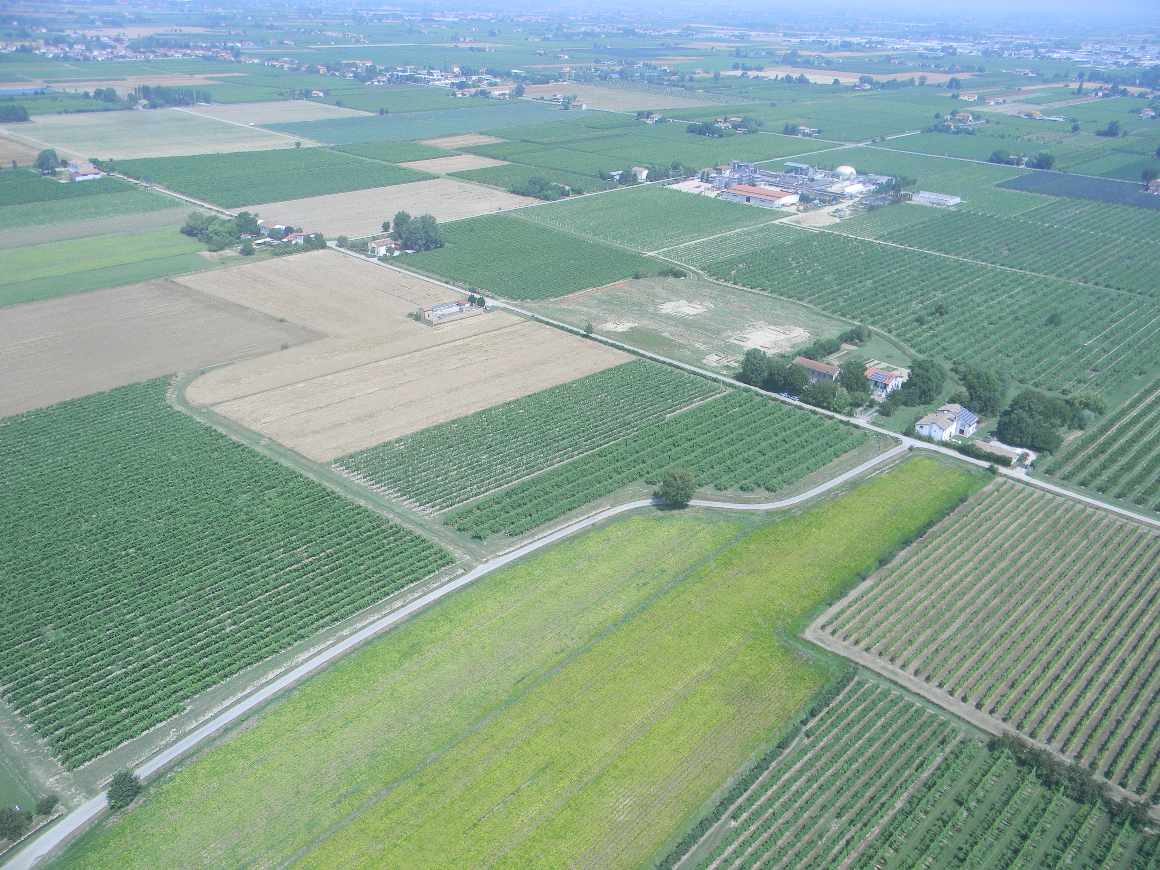 Il castello di Zagonara: archeologia e paesaggio nella Bassa Romandiola