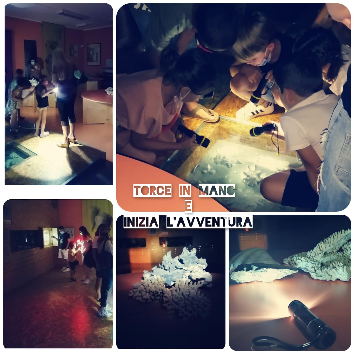 Esploratori notturni: laboratorio straordinario. Tutti inclusi