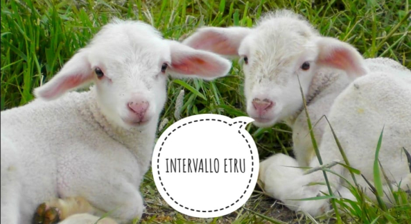 Intervallo ETRU 02 Marzo