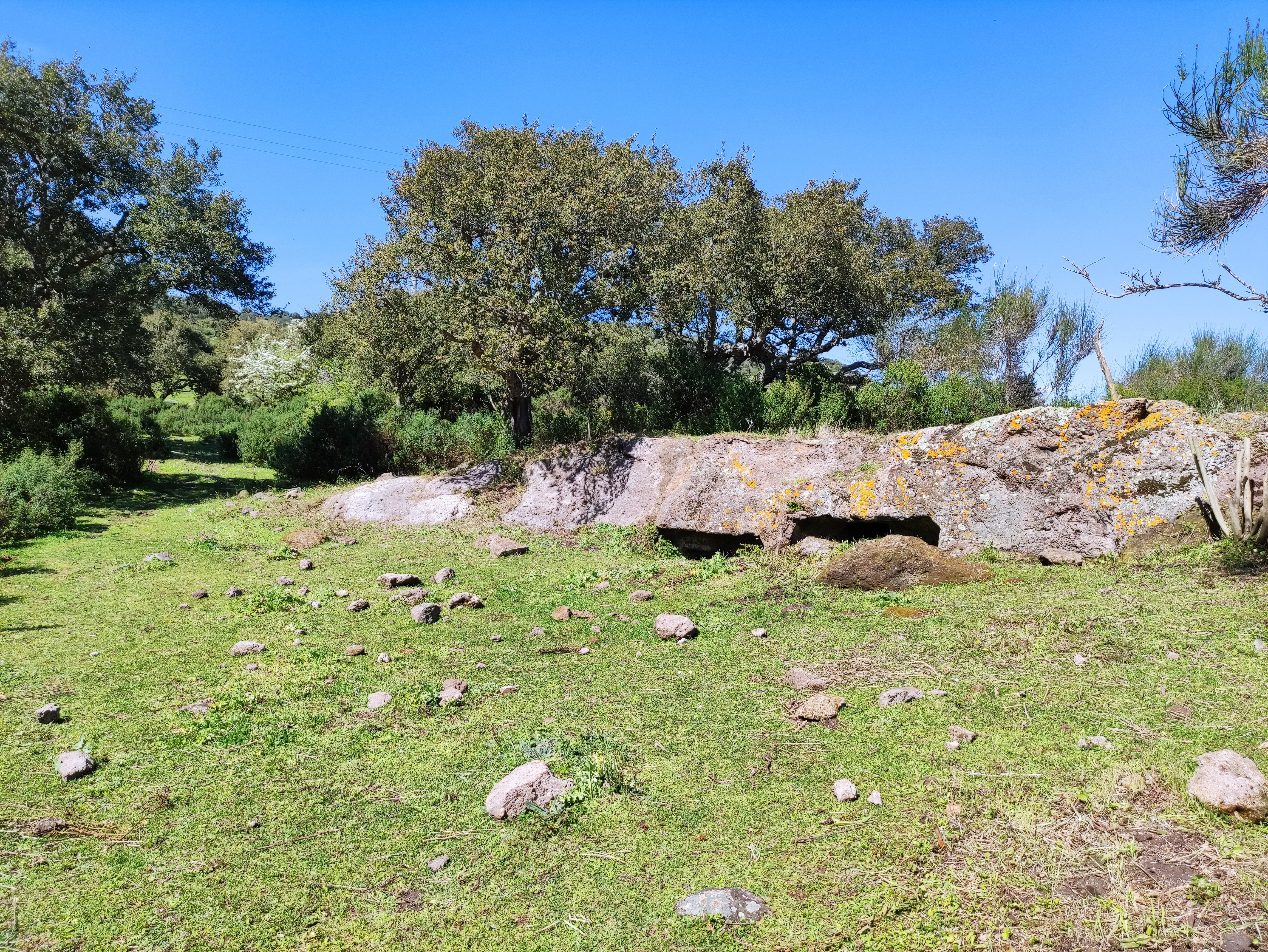 Patrimonio culturale: TUTTI inclusi! Le domus de janas di Li Algasa e S’Enaculadora a Sedini