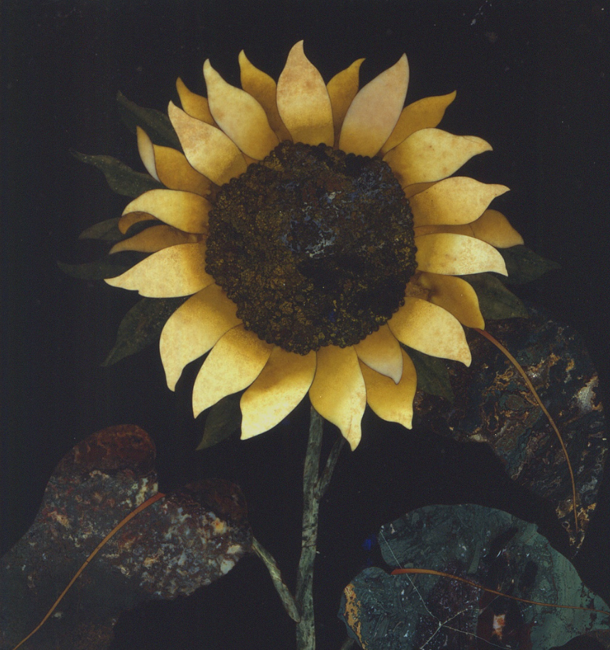 Notte Europea dei Musei 2021:  Apertura straordinaria del Museo dell’Opificio delle Pietre Dure