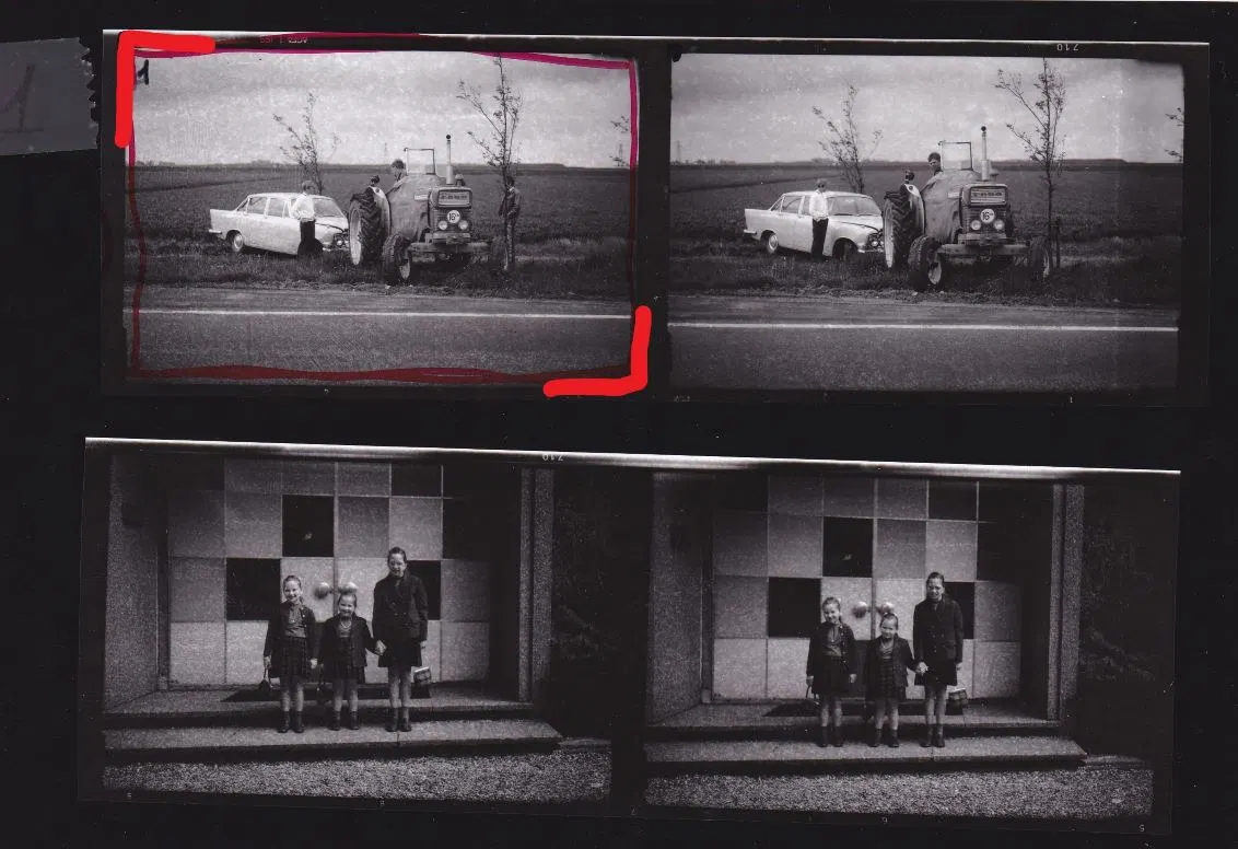 I giardini pensili (hanno fatto il loro tempo)- Civico Zero