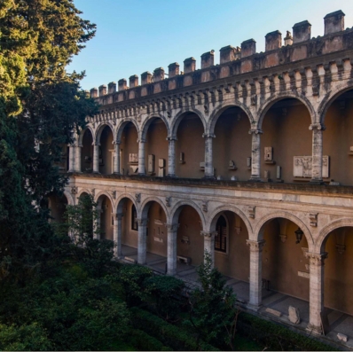 Innesti tra natura e architettura - Le mille storie del VIVE - Visita guidata a Palazzo Venezia