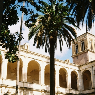 Innesti tra natura e architettura - Le mille storie del VIVE - Visita guidata a Palazzo Venezia