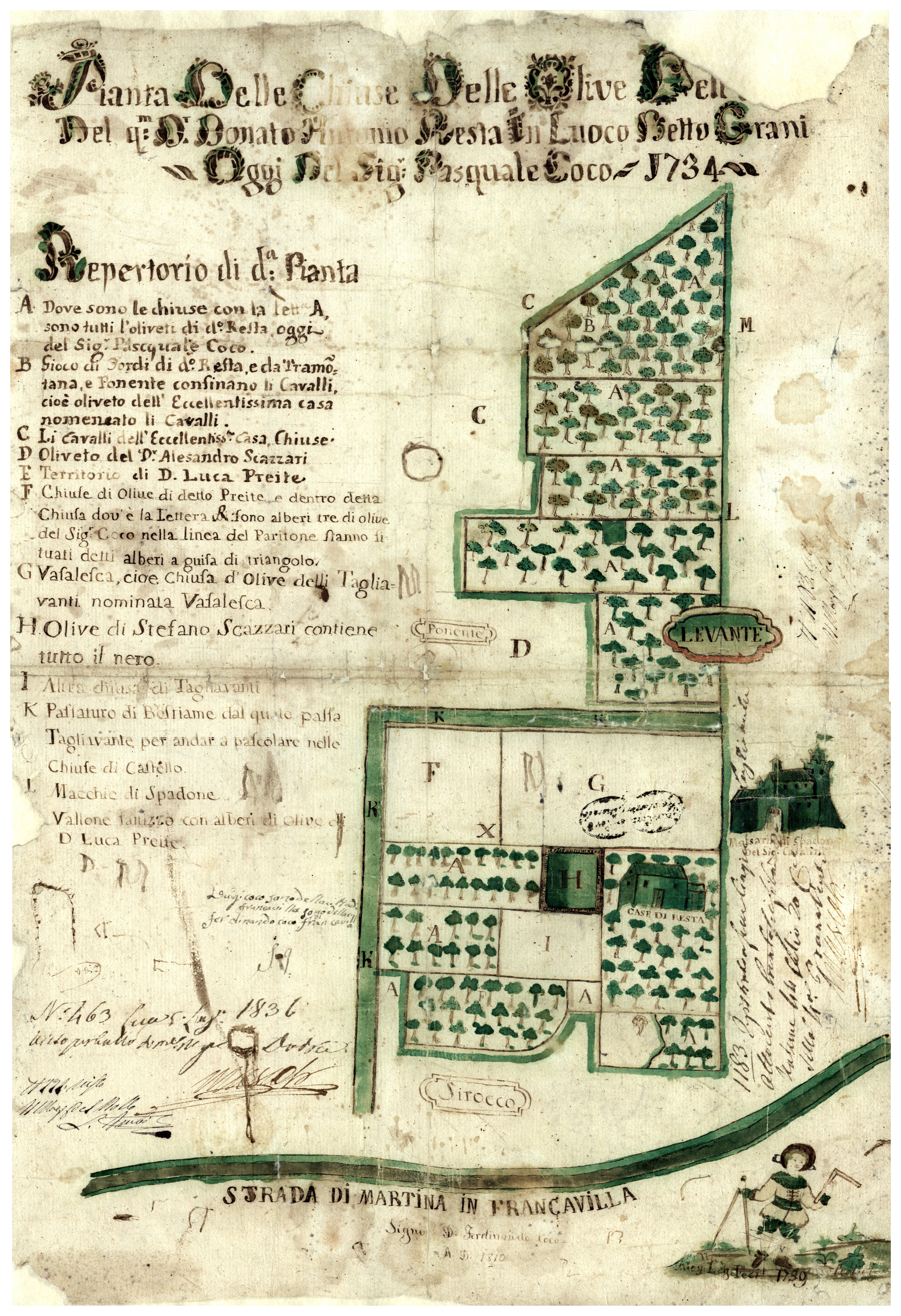 "Pianta delle chiuse delle olive... in luoco detto Grani del signor Pasquale Coco", Instrumenti e liti - Francavilla Fontana, fondo delle Università e Feudi (poi Comuni) di Terra d'Otranto, anno 1734