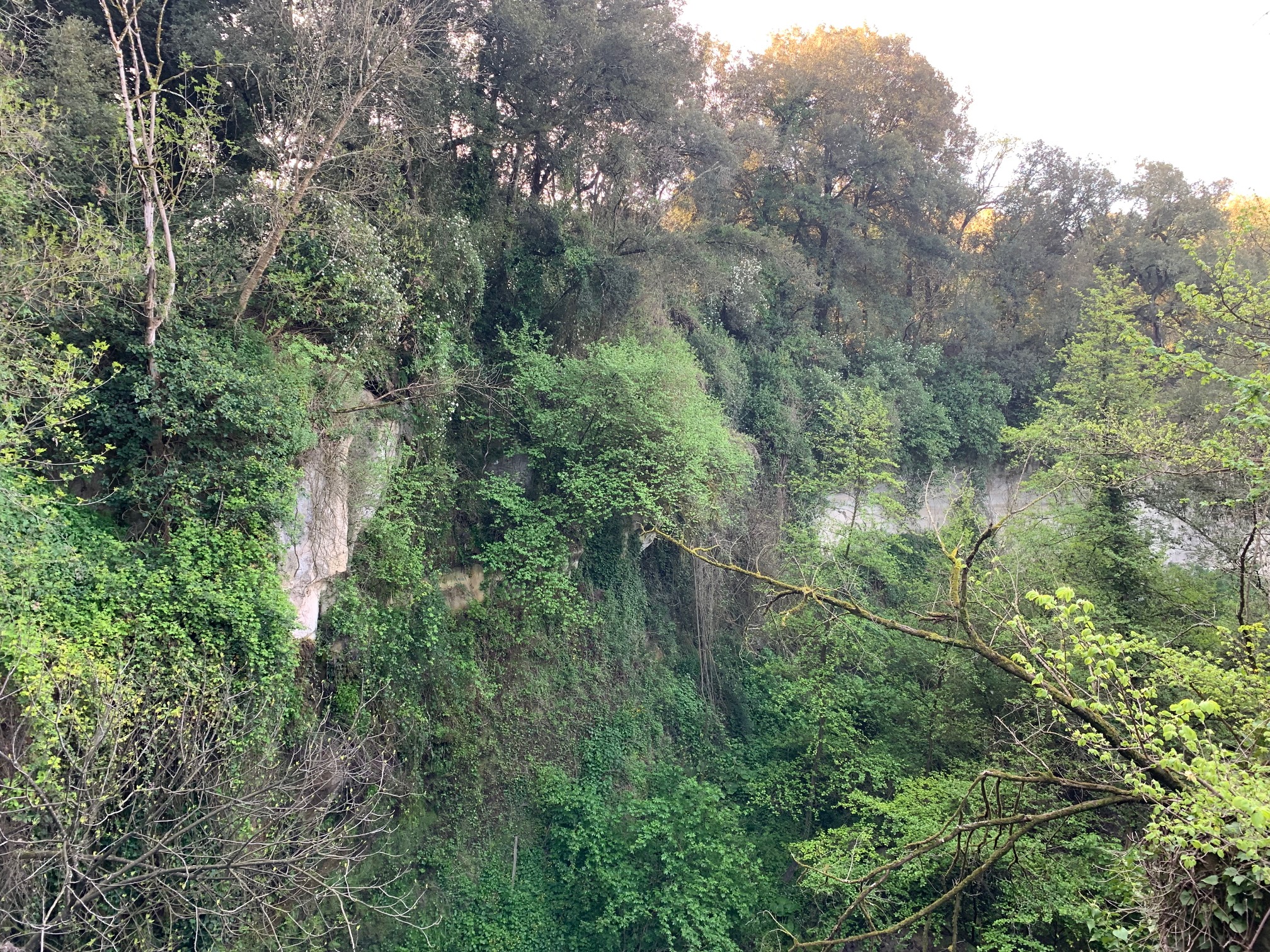 Apertura straordinaria dell'Area Archeologica di Veio - sabato 30 aprile