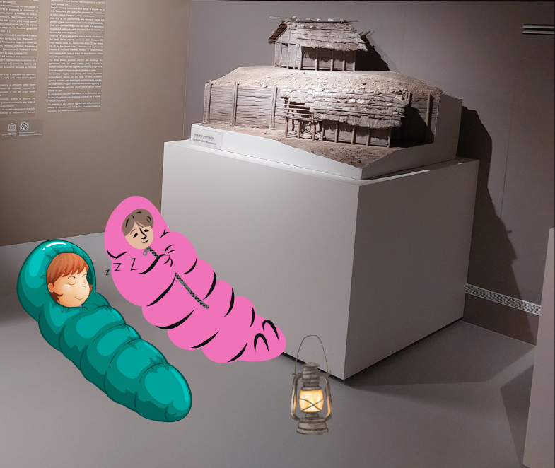 Museo Archeologico Nazionale di Verona | 11 gennaio| La mia Notte al Museo