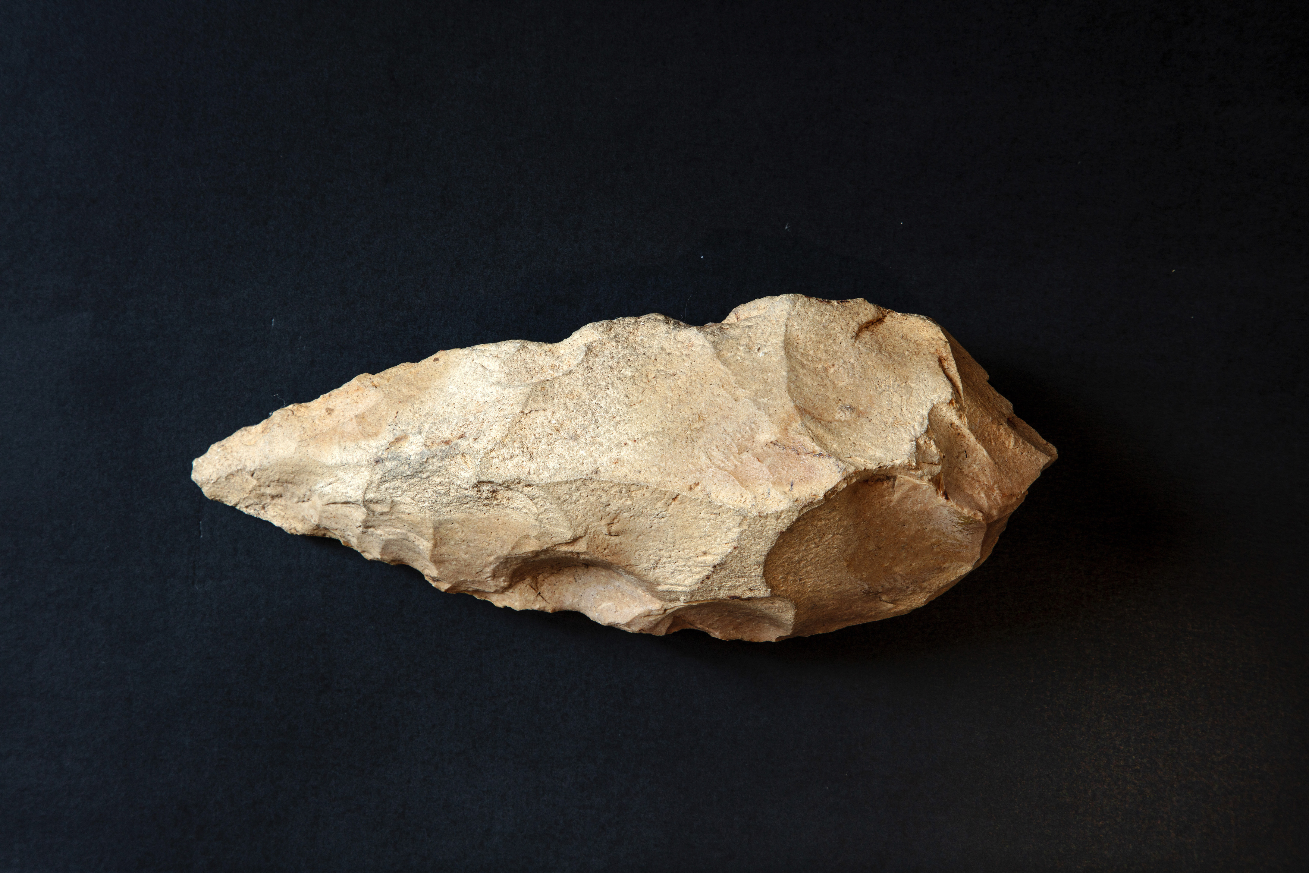 Museo Archeologico Nazionale di Verona | 5 ottobre | DOMENICA AL MUSEO