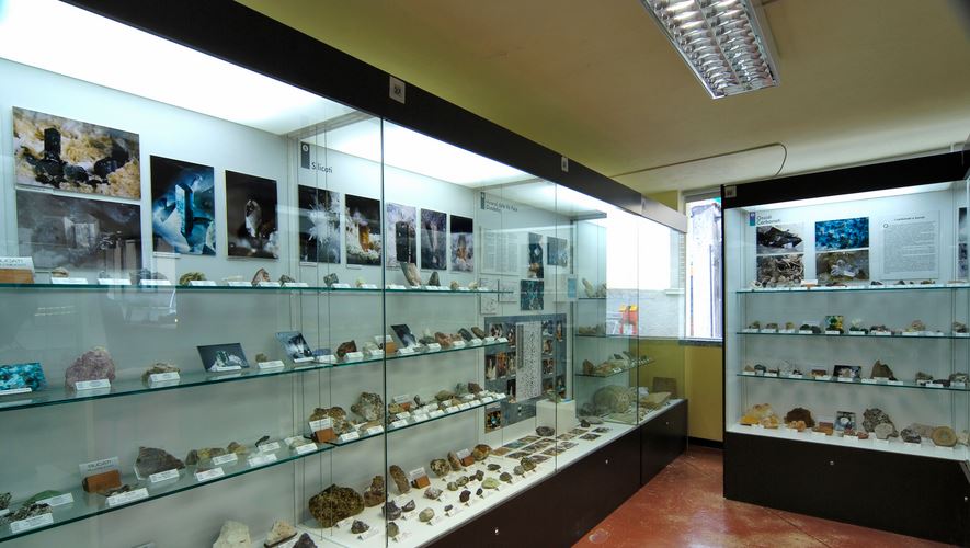 Museo civico di scienze naturali Alessio Amighetti