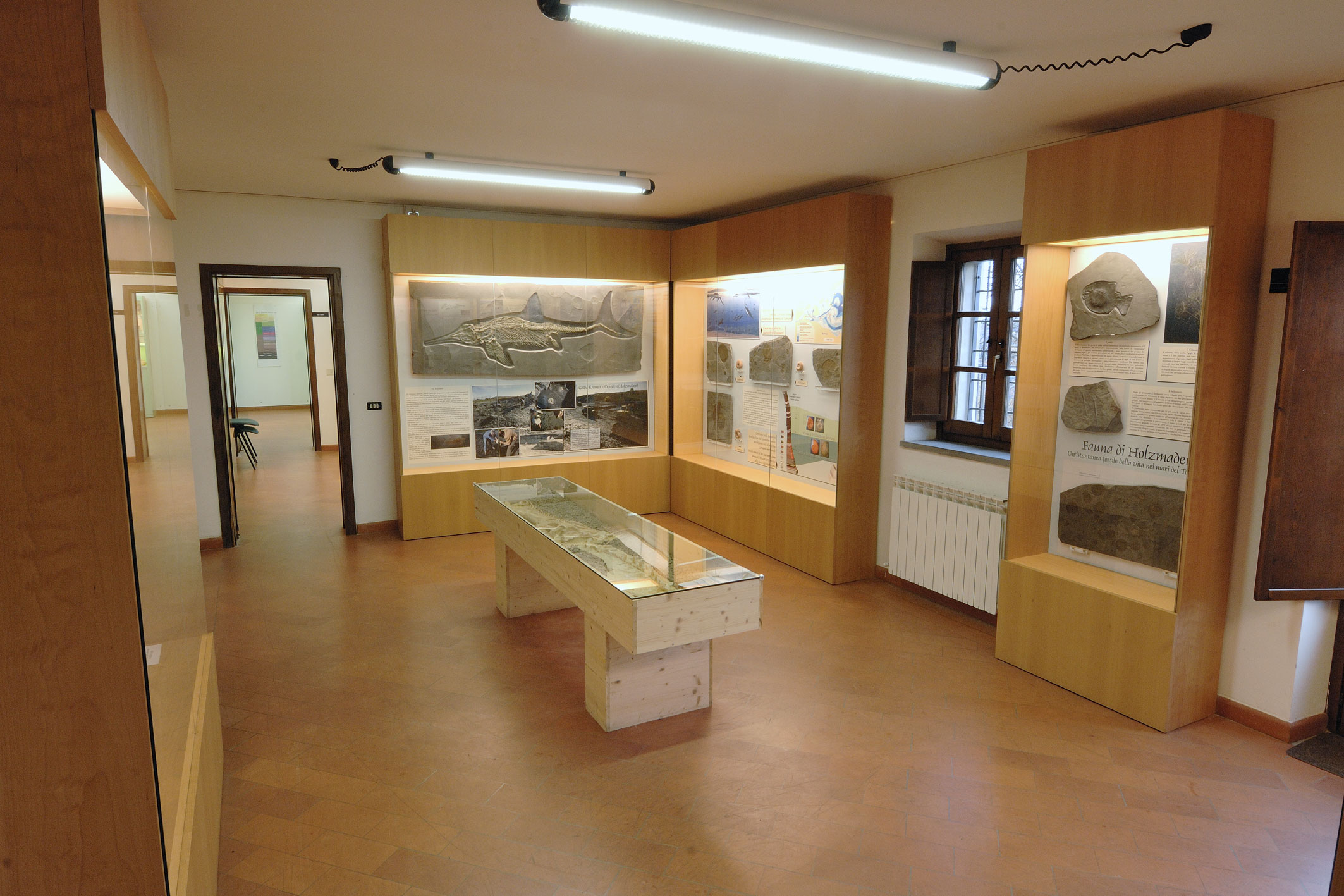 laboratorio ecologico di Geo-Paleontologia