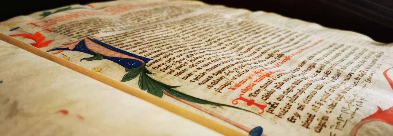 Raccolta di atti costitutivi della antica Comunità