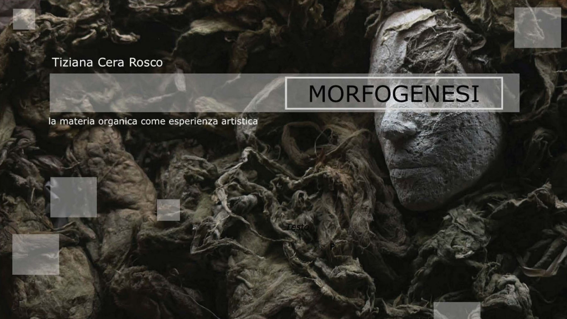 Finissage della mostra MORFOGENESI di Tiziana Cera Rosco con visita guidata