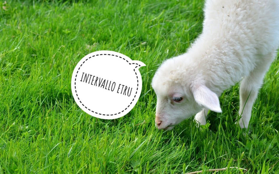 Intervallo ETRU 23 marzo