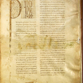 Il Liber Paradisus raccoglie l’elenco di quasi 5800 servi della gleba di Bologna, divisi in base ai quartieri cittadini d'appartenenza, che furono riscattati dal Comune di Bologna e liberati, cancellando la schiavitù dalla città di Bologna già a metà del XIII secolo, primo caso in tutta Europa