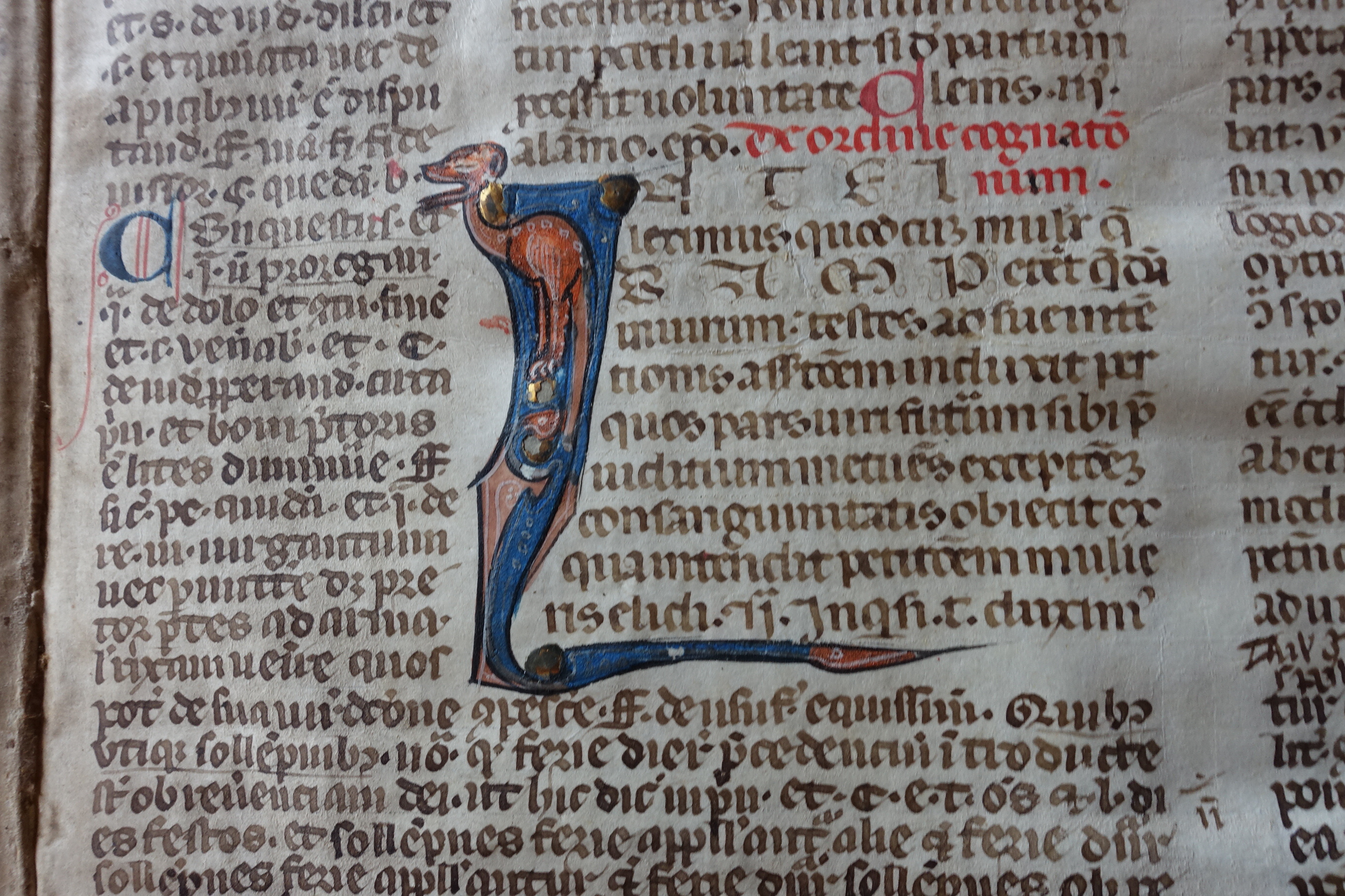 “Libertà va cercando, ch’è sì cara” Frammenti di cultura medievale dal tempo di Dante