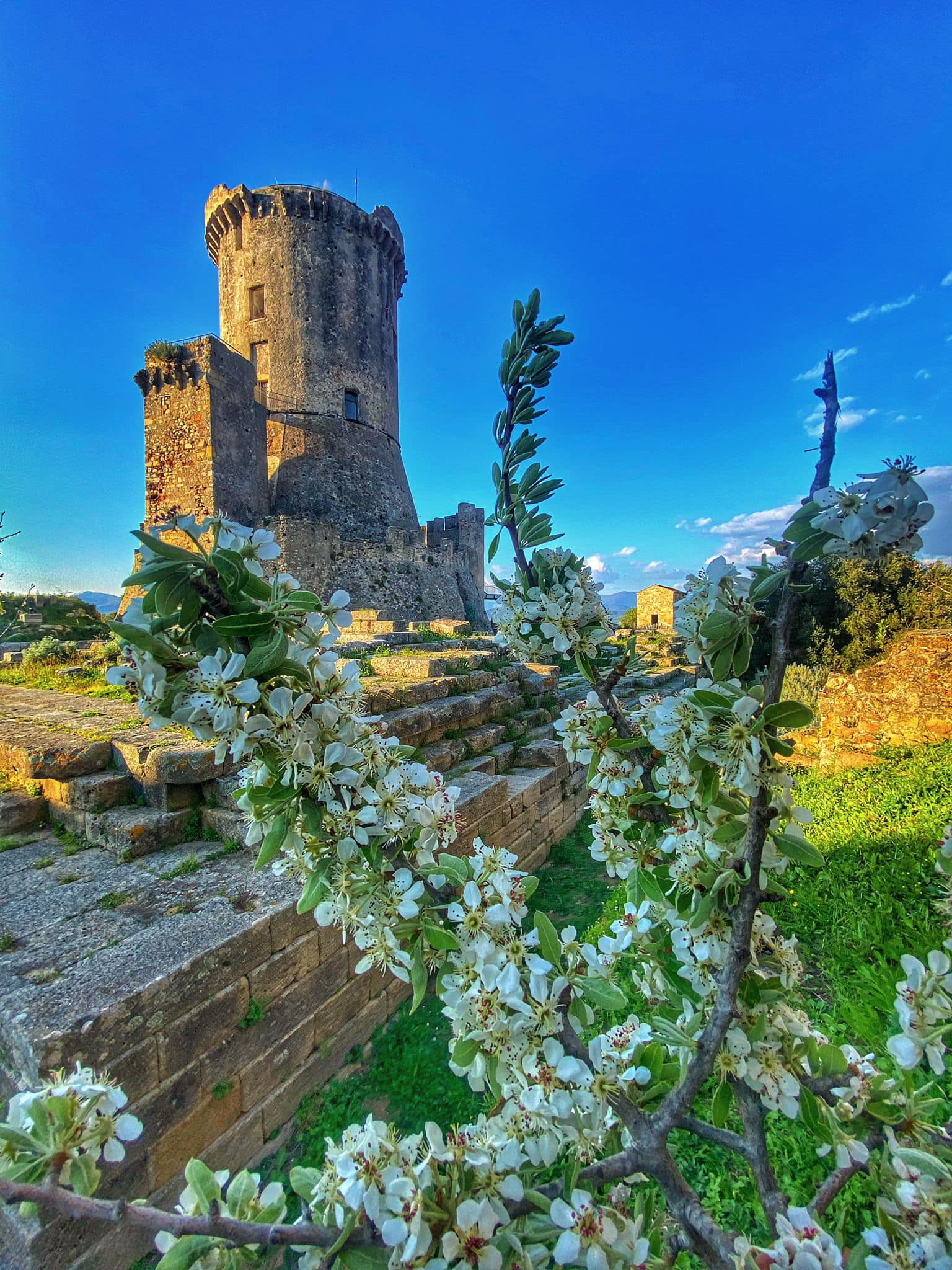 WEEK END DI PASQUA E PASQUETTA  TRA IL MUSEO E I TEMPLI DI PAESTUM E L’AREA ARCHEOLOGICA DI VELIA