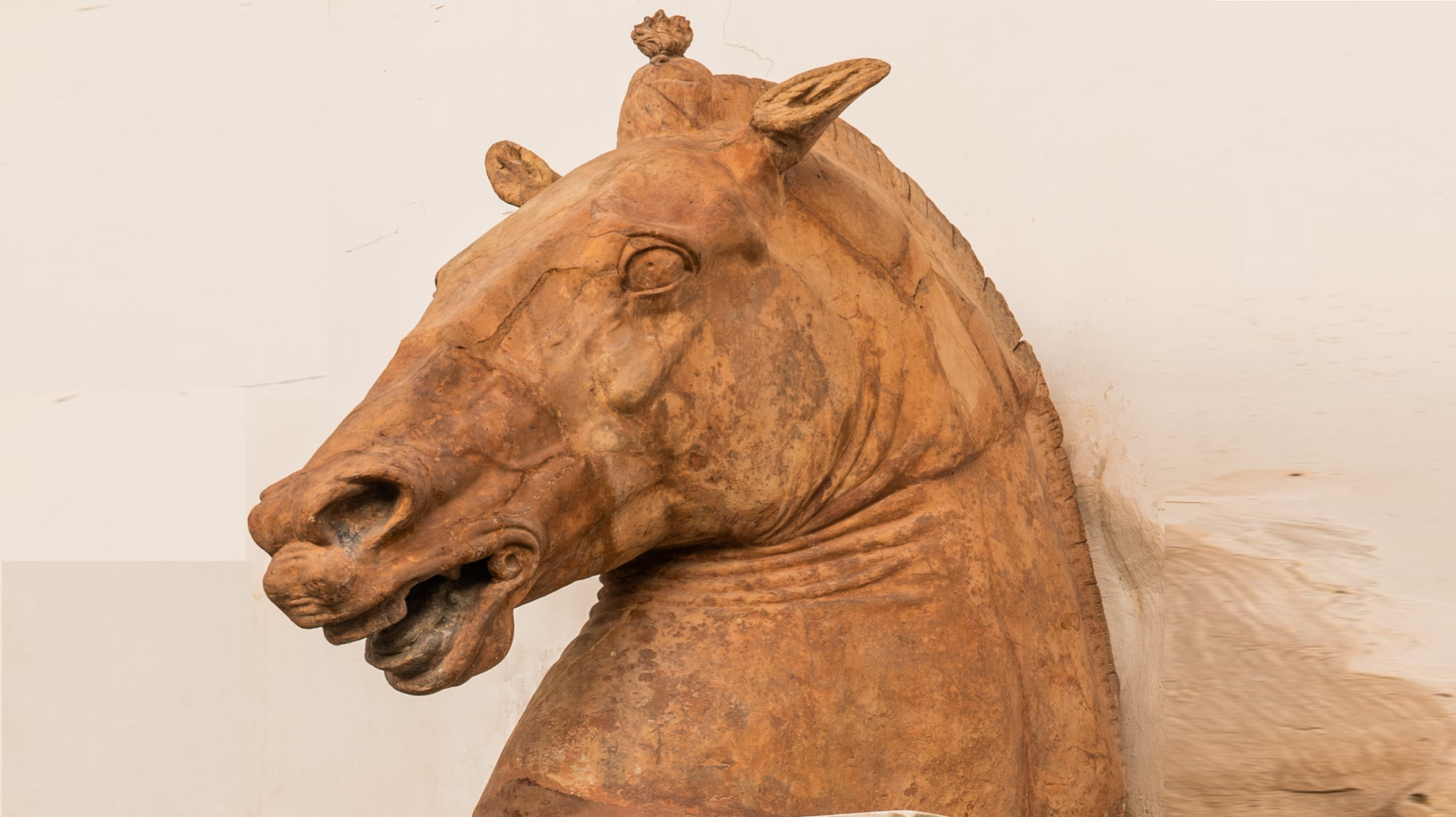 GEP 2025 - Apertura straordinaria del piano nobile di palazzo Diomede Carafa “I cavalli di Palazzo Carafa”