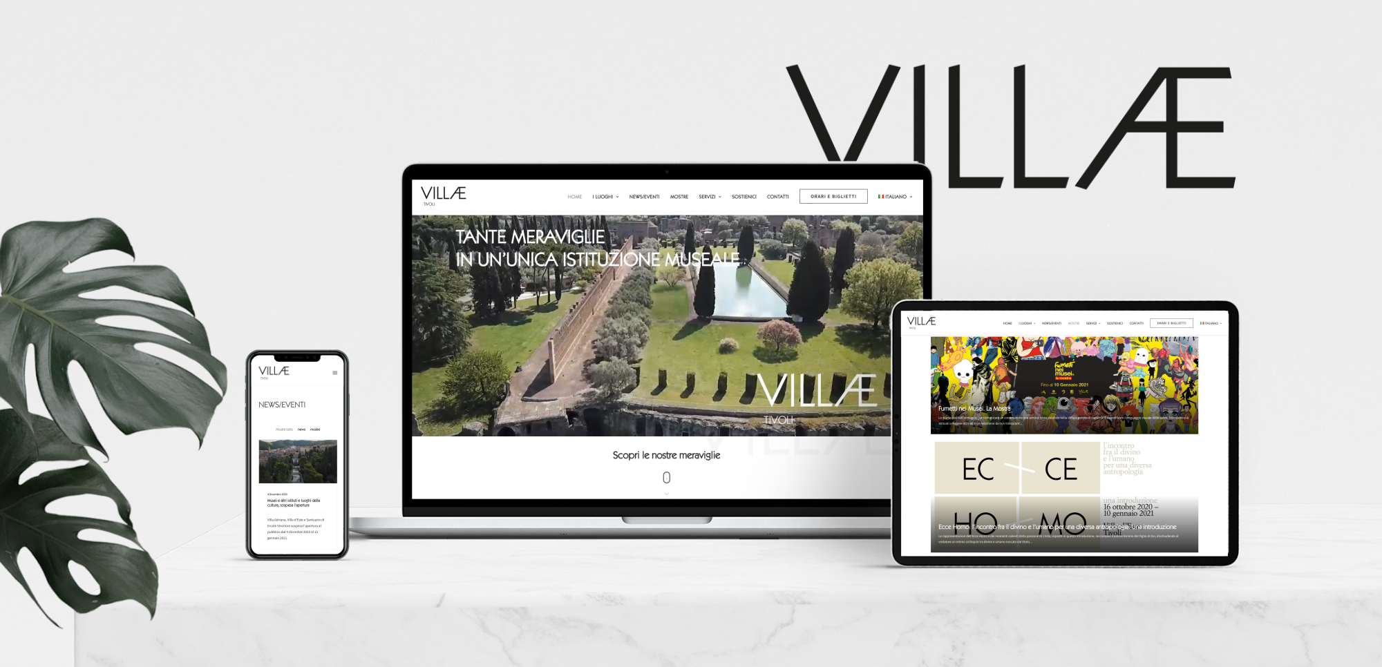 Continua la metamorfosi del sito levillae.com