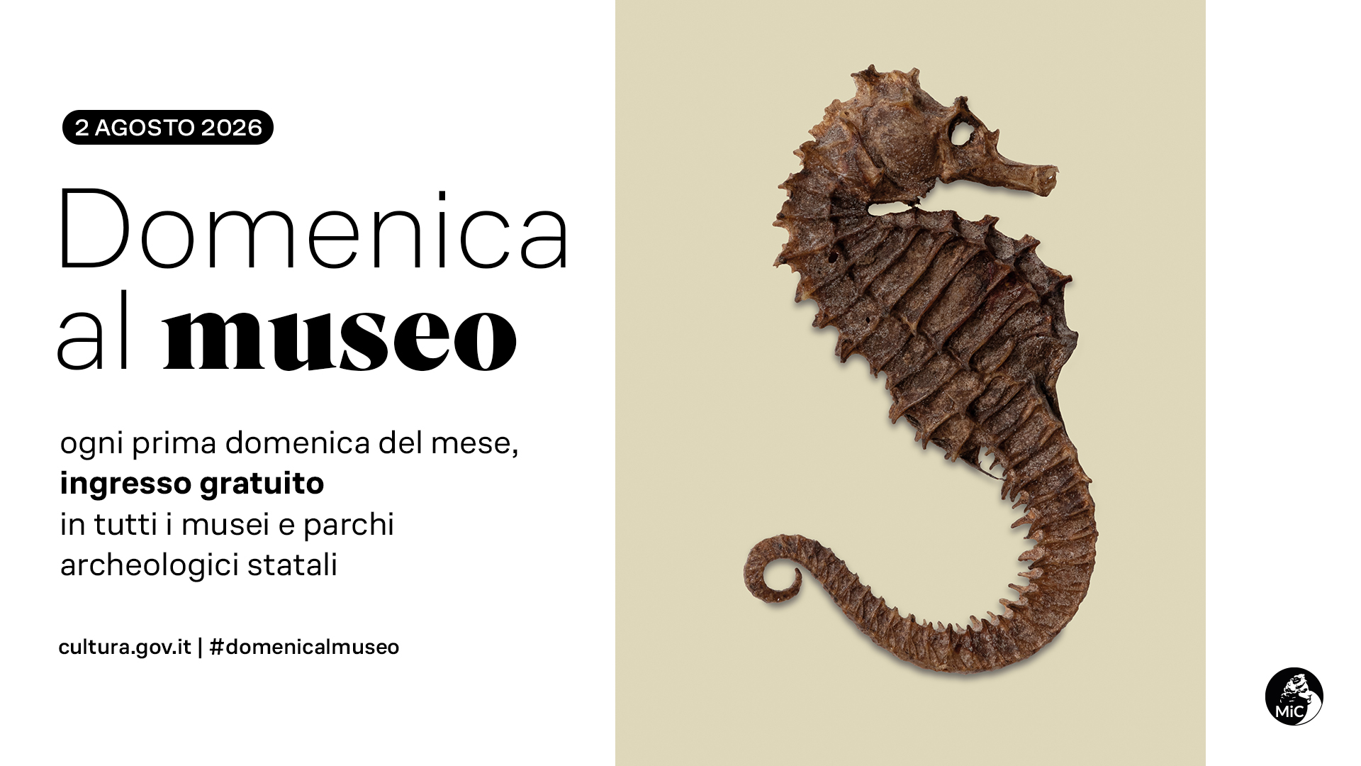 Al Museo delle Civiltà Domenicalmuseo | 2 agosto  ingresso gratuito