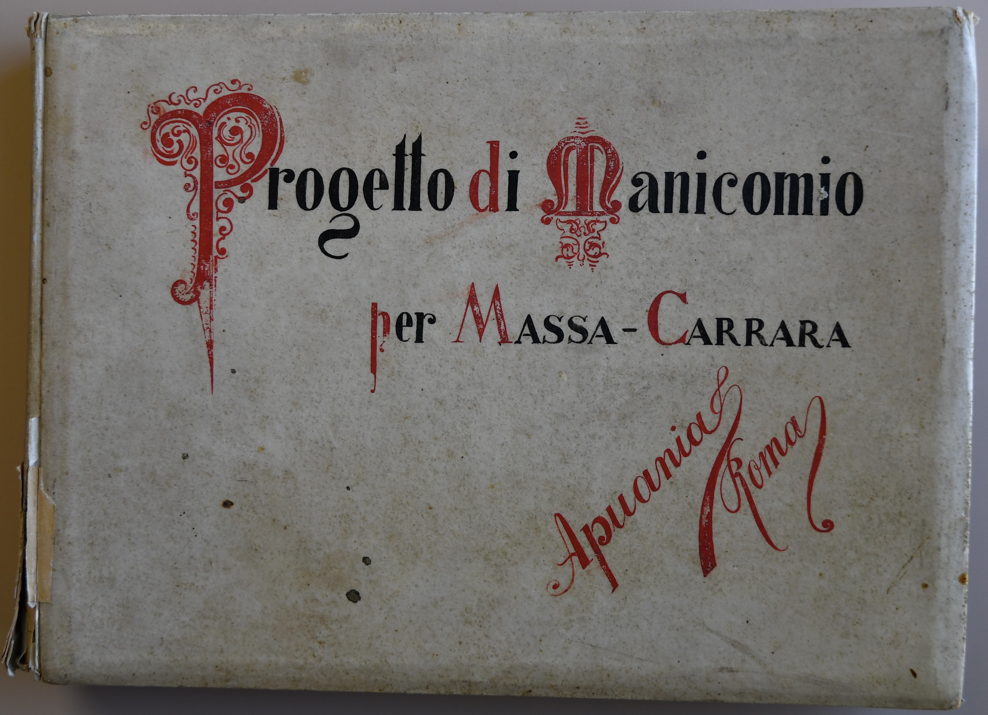 Le carte della follia. I malati psichiatrici nella documentazione dell'Archivio di Stato di Massa