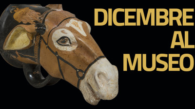 cover LO ZOO DELLE MERAVIGLIE   |  LA CAMPAGNA SOCIAL DI DICEMBRE 2016