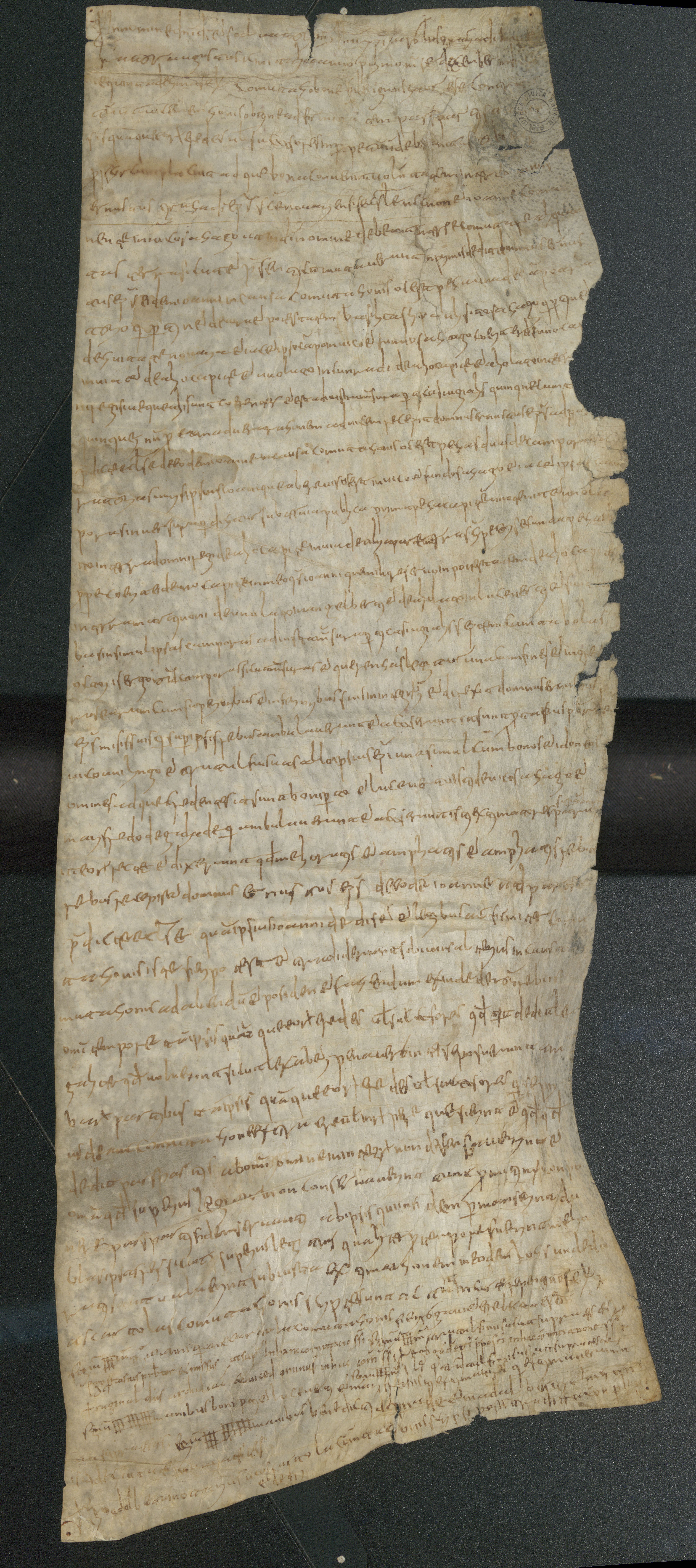 La pergamena più antica dell'Archivio di Stato di Novara, relativa a una permuta dell'882 d.C. del vescovo di Novara.