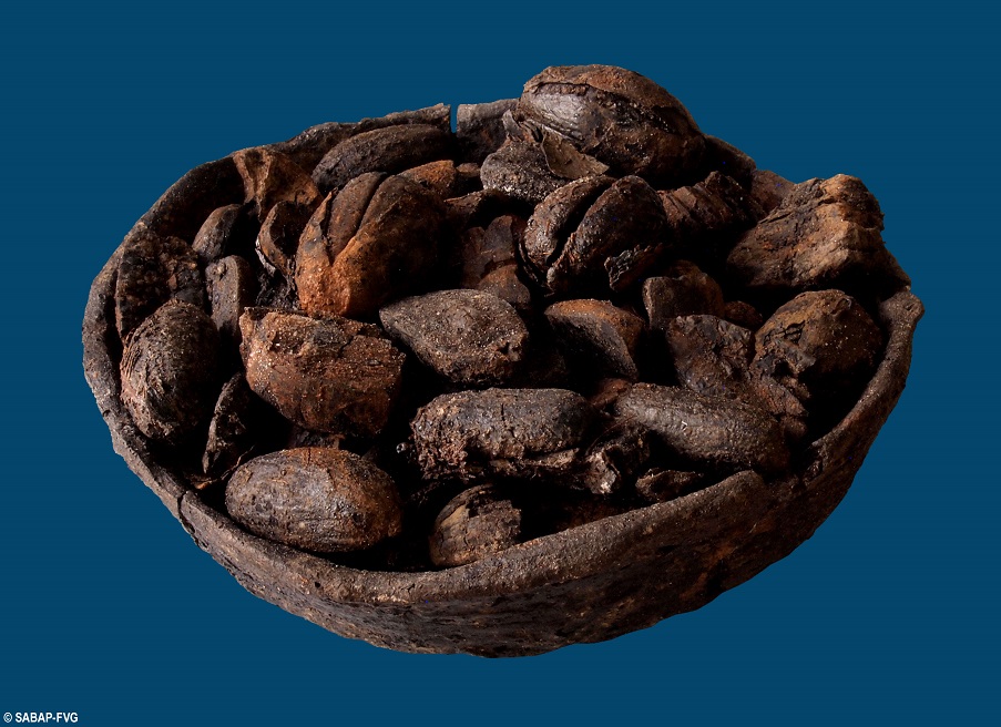 PALÙ DI LIVENZA E LE PALAFITTE DEL SITO UNESCO AL MUSEO CIVICO DI MONTEBELLUNA