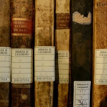 Foto: Agenzia DiRE (www.dire.it)