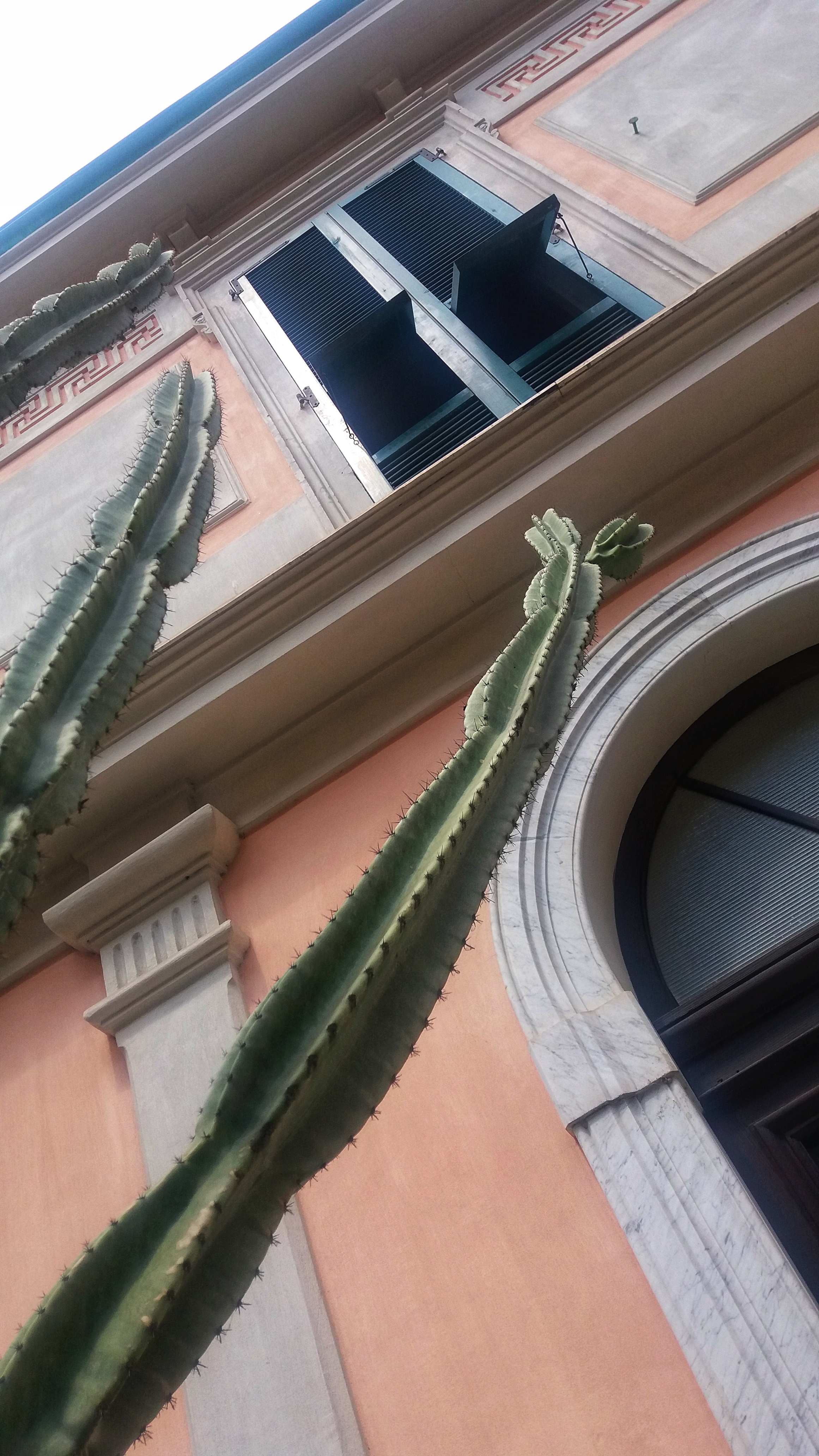 Dettaglio della facciata