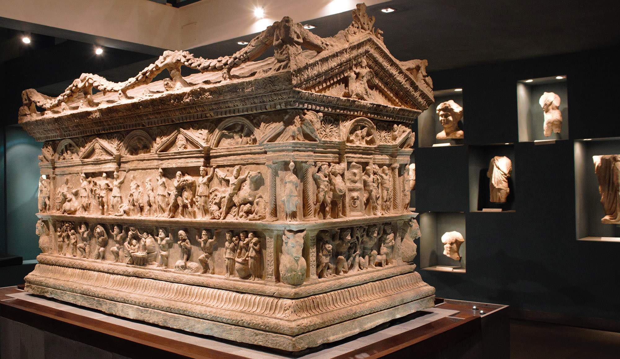 Patrimonio in Vita - Musei Civici di Velletri