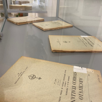 Dettaglio bacheca mostra