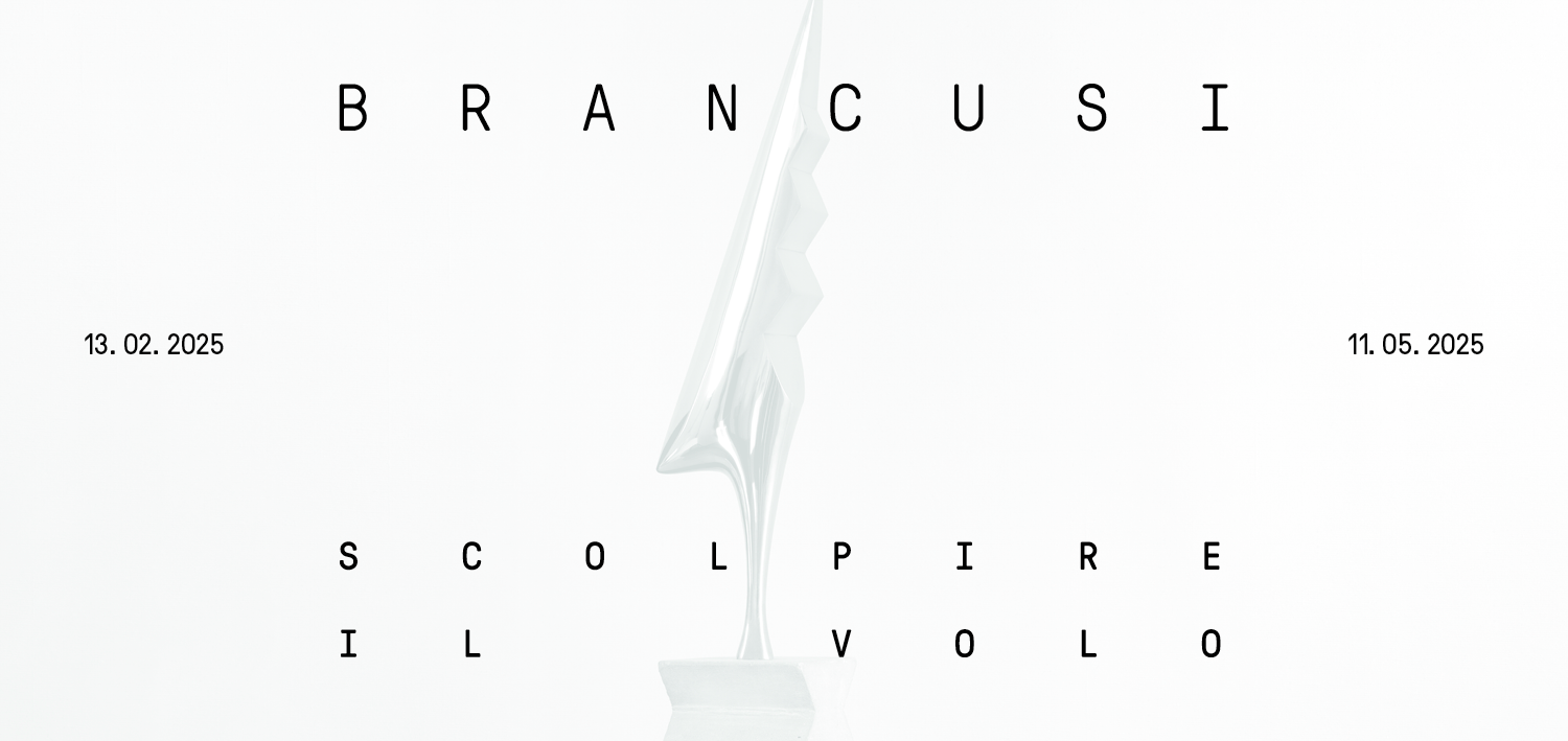 Brancusi. Scolpire il volo